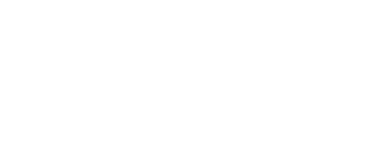 IDNIC